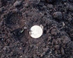 post-7575-0-64179300-1335632066_thumb.jp