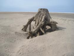 post-7597-0-26787300-1334328357_thumb.jp