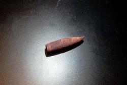 post-7845-0-85343100-1333839224_thumb.jp