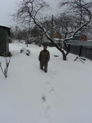 post-8735-0-24300200-1333628582_thumb.jp