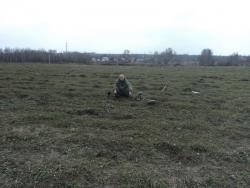 post-8735-0-31545800-1335030422_thumb.jp