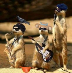 post-8735-0-39497800-1334584887_thumb.jp