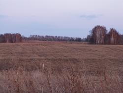 post-8942-0-35685500-1335200037_thumb.jp