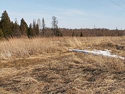 post-8942-0-85863700-1334213725_thumb.jp