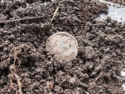 post-8942-0-93093500-1334214019_thumb.jp