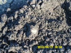 post-9966-0-00302100-1334756030_thumb.jp