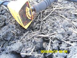 post-9966-0-01729000-1334756094_thumb.jp