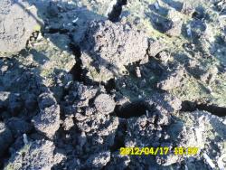 post-9966-0-81381700-1334755966_thumb.jp