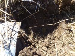 post-10090-0-25152800-1366212543_thumb.j