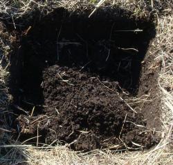 post-10462-0-41347800-1366131861_thumb.j