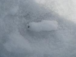 post-10794-0-86227000-1366024454_thumb.j