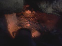 post-11786-0-09725600-1366560096_thumb.j