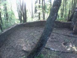 post-11786-0-30955900-1365091201_thumb.j