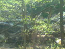 post-11786-0-35000600-1365162800_thumb.j