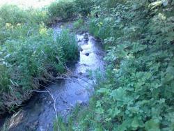 post-11786-0-45520200-1365162730_thumb.j