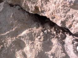 post-11786-0-63295600-1366565760_thumb.j