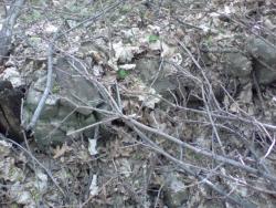 post-11786-0-65583900-1365162866_thumb.j