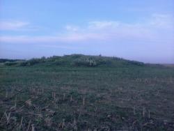 post-11786-0-72513200-1365162998_thumb.j