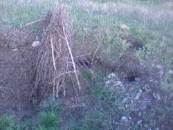 post-11786-0-75449100-1365163025_thumb.j