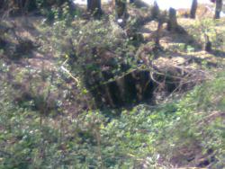 post-11786-0-78208300-1365163135_thumb.j