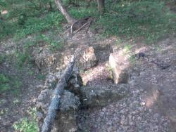 post-11786-0-86932700-1365091392_thumb.j