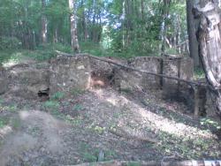 post-11786-0-91245700-1365091130_thumb.j