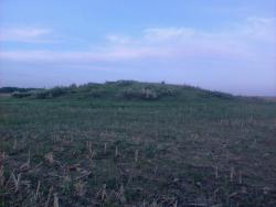 post-11786-0-96819000-1365162974_thumb.j