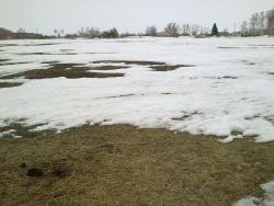 post-12000-0-25046200-1365237879_thumb.j