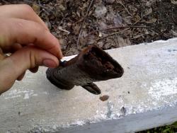 post-12000-0-28209000-1367215777_thumb.j