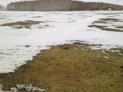 post-12000-0-29245600-1365237897_thumb.j