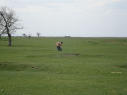 post-12373-0-11290600-1366789963_thumb.j