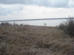 post-12373-0-14106100-1365511669_thumb.j