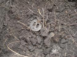 post-12373-0-40627600-1366369754_thumb.j