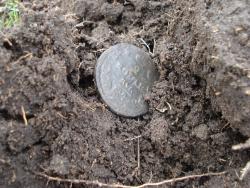 post-12373-0-44439800-1366351394_thumb.j