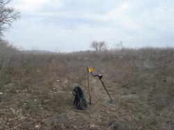 post-12373-0-53136100-1365511688_thumb.j