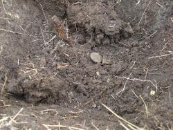 post-12373-0-79852500-1365490189_thumb.j