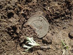 post-12373-0-83318900-1366791330_thumb.j