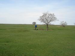 post-12373-0-85417400-1366789220_thumb.j