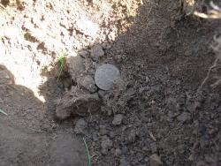 post-12373-0-91445700-1366790942_thumb.j