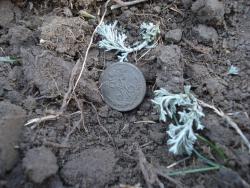 post-12373-0-92492500-1366791660_thumb.j