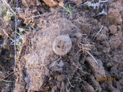 post-12688-0-01104200-1365022440_thumb.j