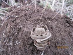 post-12688-0-04001600-1365274891_thumb.j