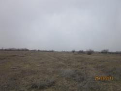 post-12688-0-04821400-1365020714_thumb.j