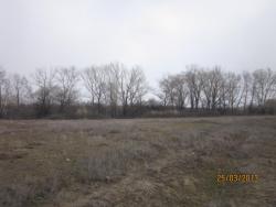 post-12688-0-05691300-1365021010_thumb.j