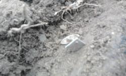 post-12688-0-09125700-1365440156_thumb.j