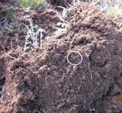 post-12688-0-15512700-1365022040_thumb.j