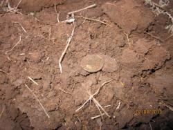 post-12688-0-25932500-1365054896_thumb.j