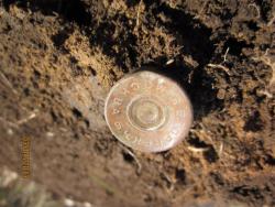 post-12688-0-26010000-1365056402_thumb.j