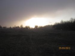 post-12688-0-30414300-1365021239_thumb.j