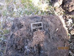 post-12688-0-33583100-1365055642_thumb.j